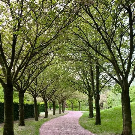 Ferienwohnung Am Park Bad Zwesten